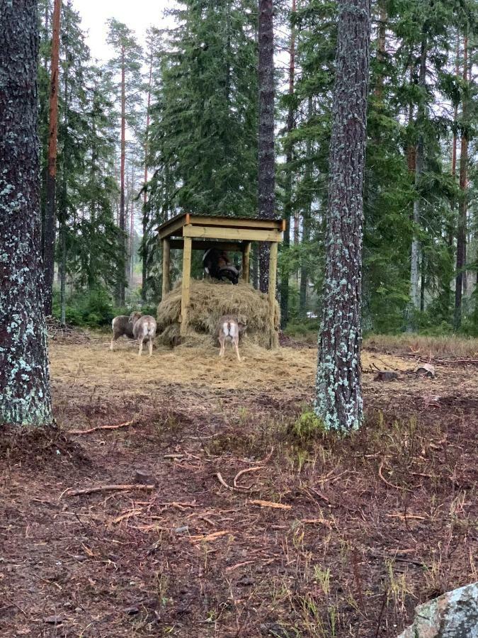 Cozy House In Kosta Center Surrounding With Swedish Nature Exterior photo